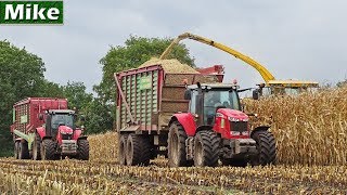 Mais hakselen 2017  New Holland FR9080  Rensen  MF 7720  7619  Strautmann  Lemele  NL [upl. by Gromme328]