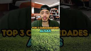 ALGAS  TOP 3 CURIOSIDADES [upl. by Plato]