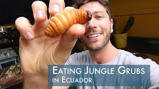 Eating Giant Beetle Grubs in Ecuador [upl. by Neumark]