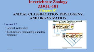 Animal Systematics monophyletic paraphyletic polyphyletic symplesiomorphies synapomorphies [upl. by Idham]