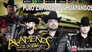 Los Alameños De La Sierra Mix  Puro Zapateado Y Huapangos  100 Cumbias Norteñas [upl. by Andaira]