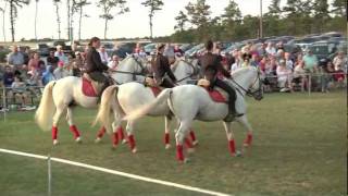 Herrmanns Royal Lipizzan Stallions [upl. by Carver]