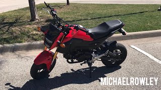 2019 Honda MSX125 long term review [upl. by Halsey]