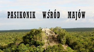 Pasikonik wśród Majów [upl. by Icak365]