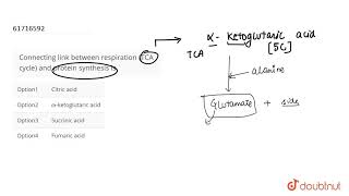 Connecting link between respiration TCA cycle and protein synthesis is [upl. by Salokkin]