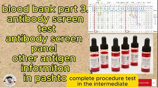 antibody screen test blood bank part 3  procedure  antibody screen panel chat in pashto [upl. by Faubion395]