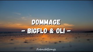 Bigflo et Oli  Dommage paroles [upl. by Ojyram]