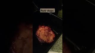 Air fryer pork chops porkchops shortsviral youtubeshorts food [upl. by Worden]