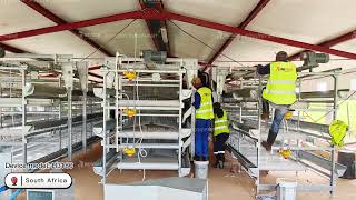 H Type Layer Chicken Cage Installation  Customer Projects in South Africa  RETECH Farming [upl. by Cyprus125]