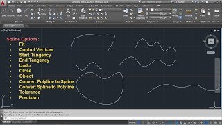 AutoCAD Spline Command Tutorial Complete  Fit Control Points Convert to Polyline Precision [upl. by Wu]