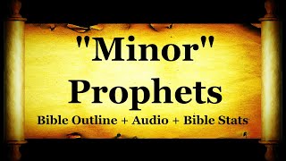 The Holy Bible  Minor Prophets  Hosea Joel Amos Jonah Micah Zechariah Malachi [upl. by Diaz202]