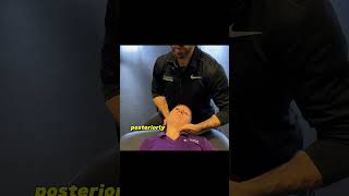 Posterior Inferior Medial Glide Cervical Radiculopathy Manual Therapy [upl. by Hettie]