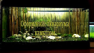 Оформление аквариума  Aquarium design [upl. by Ambrosine]