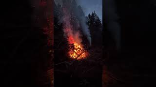 Harstine Island fire cleantrees fall winter planting [upl. by Alexio]