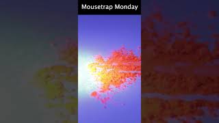 Mouse amp Rat Tracking Powder  Glow In The Dark Black Light Rodent Tracking [upl. by Nerrual768]