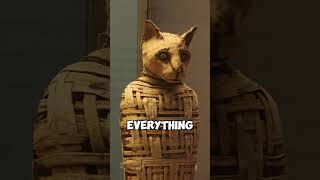 Ancient Egypt Mummified EVERYTHING Even Pets history [upl. by Eimor583]