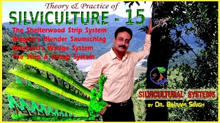 SILVICULTURE 15  Wagners Blender Eberhards Wedge Strip amp Group and Shelterwood strip Systems [upl. by Ogires]