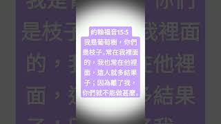 聖經，約翰福音15章 [upl. by Lletniuq748]