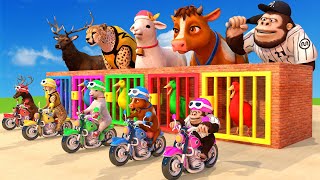 Paint Animals Baseball Monkey Goat Leopard Deer Riding Motorbike Wild Animals Game Fountain Crossing [upl. by Rettuc508]