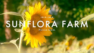 Sunflora Farm  Jala Jala Pililla Rizal CINEMATIC VIDEO [upl. by Cath]