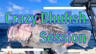 Crazy Dhufish Session at the Dhu Supermarket [upl. by Tremaine]