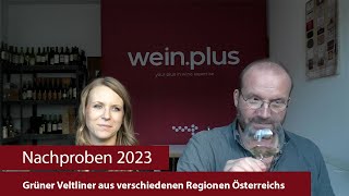 Nachproben 2023  Grüner Veltliner aus verschiedenen Regionen Österreichs [upl. by Aoniak]