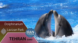 DolphinariumLavizan ParkMuseum of Wildlife Reptilesدلفیناریوم، پارک لویزان،موزه حیات وحش خزندگان [upl. by Ardnuyek]