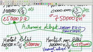 S 4 Comptabilité Des Sociétés Vidéo N° 7  Cas Particuliers quotActionnaire diligentquot [upl. by Suqram]