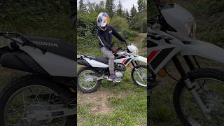 New XR150L Start Up and Walk Around [upl. by Ahrendt822]