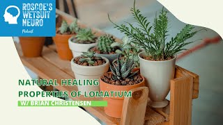 Natural Healing Properties of Lomatium w Brian Christensen [upl. by Aurelia]