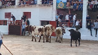 Villaverde del Guadalimar Primer encierro 2024 [upl. by Nossah]