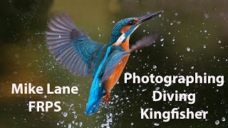 Photograph Kingfishers diving into the water [upl. by Anatnom]