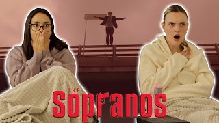 The Sopranos 1x11 Reaction [upl. by Telford442]