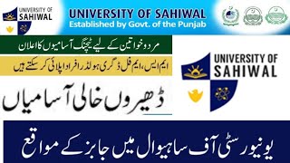 uosahiwal jobs 2024  University Of Sahiwal Jobs 2024  How To apply For University Of Sahiwal Jobs [upl. by Nurav]