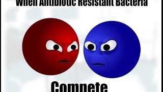 When Antibiotic Resistant Bacteria Compete [upl. by Gilmer]