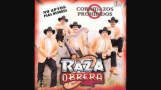 Raza Obrera  Los Cocodrilos [upl. by Terrence]