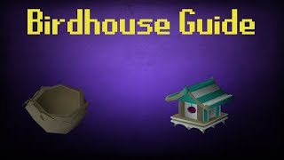 OSRS Fossil Island Birdhouse run guide 4K  Hunter XP 6 Nests per run [upl. by Idas]