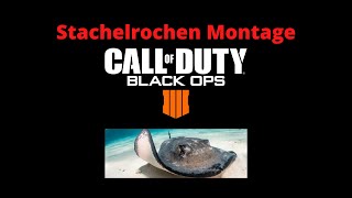 Der Stachelrochen sticht zu BO4 Montage [upl. by Onaled]