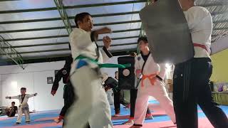 Hapkido punching kicking technique learning [upl. by Sateia]