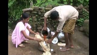 Tobacco leaves for controling fruit borer in vegetables Odia PRAGATI Odisha [upl. by Anigar790]