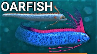 Oarfish [upl. by Yanarp]