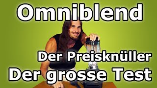 Omniblend V  der günstige Hochleistungsmixer Der grosse Test Die Alternative zum Vitamix [upl. by Aihsekat951]