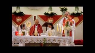 Novena di San Bartolmeo Apostolo Pellare Sa 2016 [upl. by Khalil]