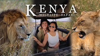 Our LION SAFARI ENCOUNTER The BEST Wildlife Safari in Africa Masai Mara Kenya [upl. by Eiramaneet]