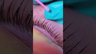 EYELASH TUTORIAL FOR BEGINNERS  EYELASH MAKEUP TUTORIAL  shortsfeed eyelash shorts short [upl. by Aivyls]