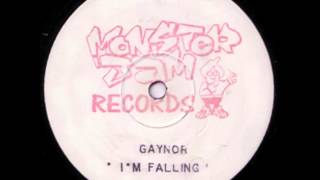 Gaynor  Im Falling Mix 2 [upl. by Howlan]