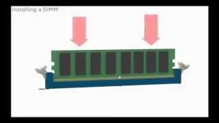 Replacing a DIMM [upl. by Fancy]