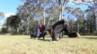 Aboriginal martial arts in Australia  Coreeda [upl. by Sherilyn911]