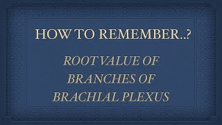 HOW TO REMEMBER  ROOT VALUE OF BRANCHES OF BRACHIAL PLEXUS [upl. by Odnomyar921]