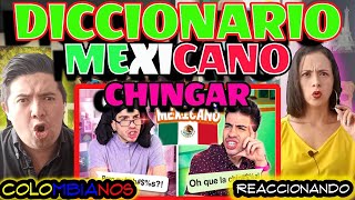 Reacción a DICCIONARIO MEXICANO 🇲🇽  QUEDEMOS RE LOCOS Muy Gracioso [upl. by Stodder941]